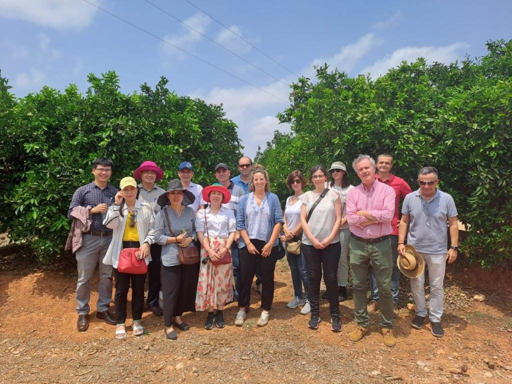 WhatsApp Image 2023 07 05 at 16.32.21 2